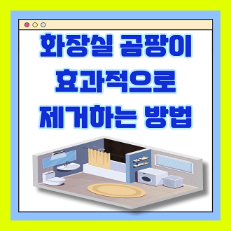 화장실 곰팡이 효과적으로 제거하는 방법