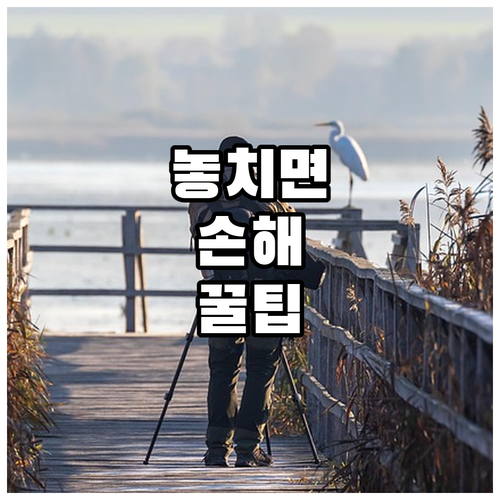 구미시 임신부 2025 기형아 검사 ..