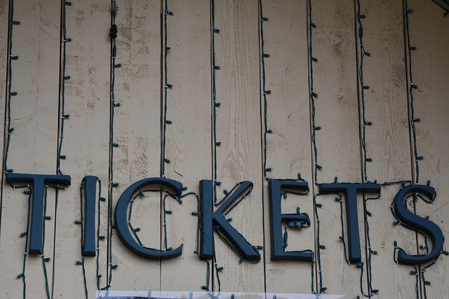 티켓 사진