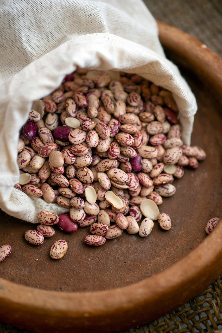 발효콩 식품의 과학 — 된장, 청국장, 낫토의 건강 비밀