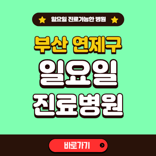 부산 연제구 일요일 진료 가능한 병원 ❘ 주말 문여는 곳 총정리 (소아과, 내과, 안과, 치과, 피부과, 정형외과, 산부인과)