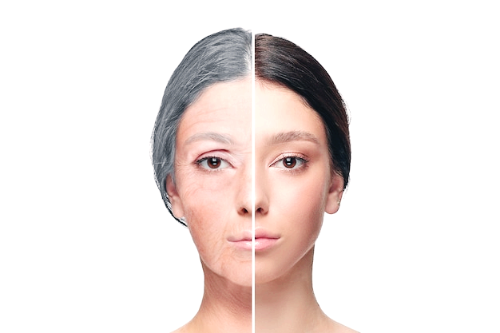 콘드로이친 효능 부작용