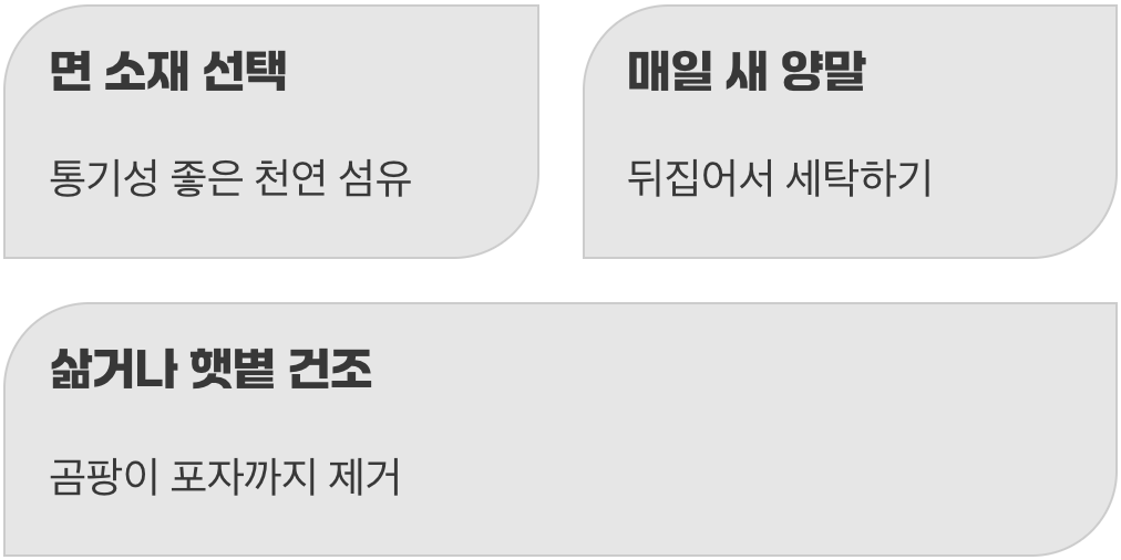 양말, 사소하지만 가장 중요한 방패