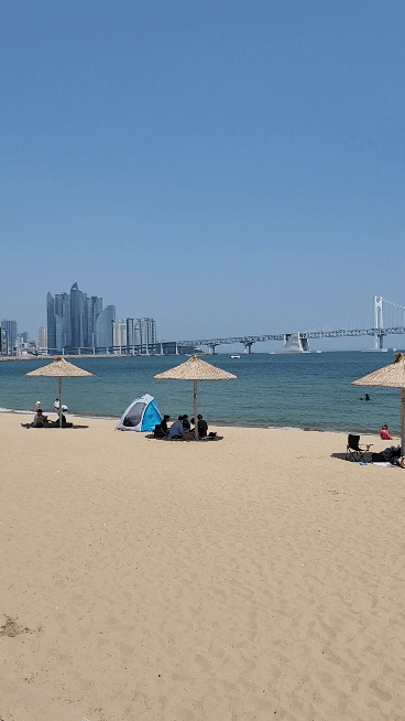 광안리_해변_전경