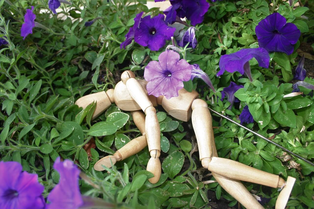 시체 꿈 해몽 해석