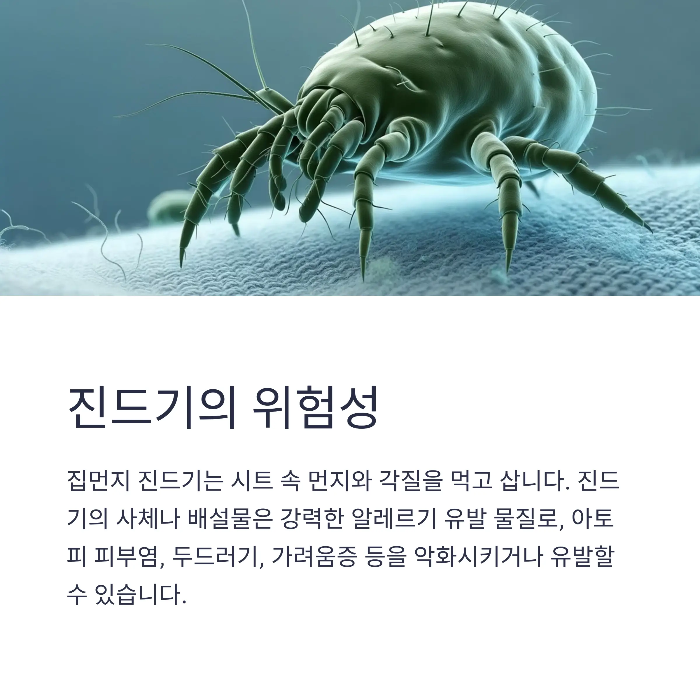 차량시트관리법