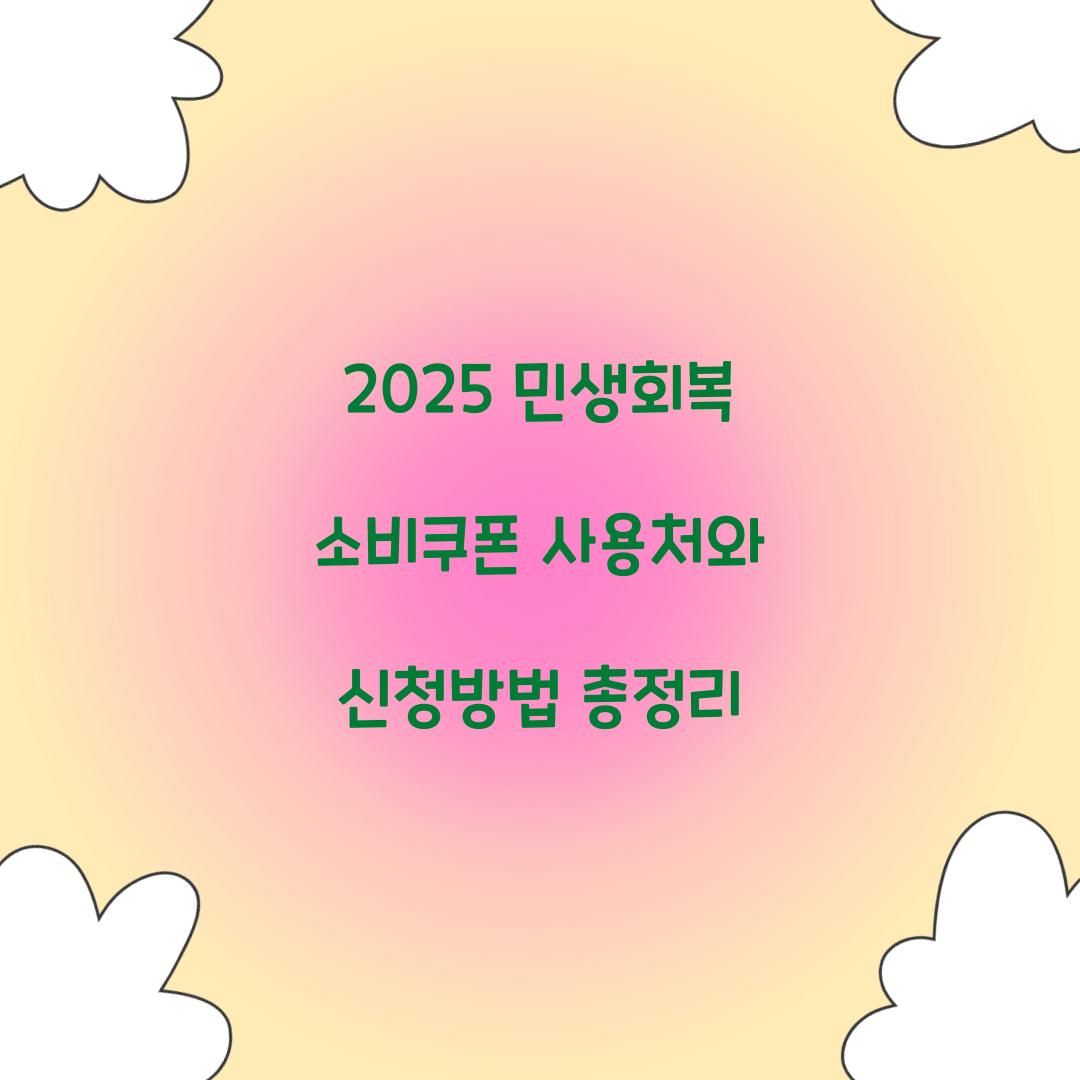 2025 민생회복 소비쿠폰 사용처