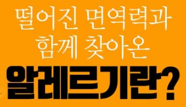 알레르기