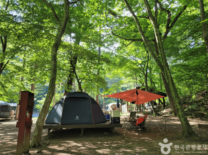 국립 통고산 자연휴양림