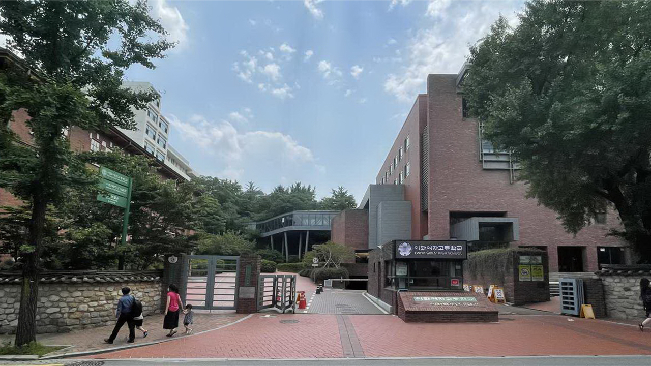 보도 위 고목3