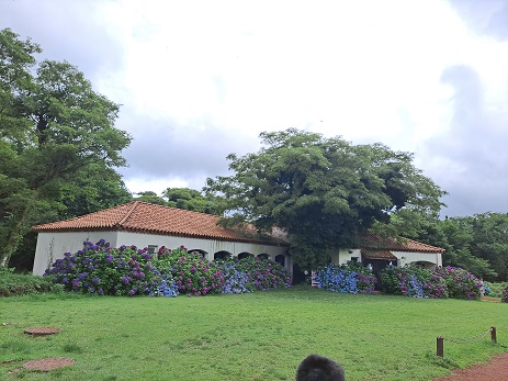 에코랜드 테마파크