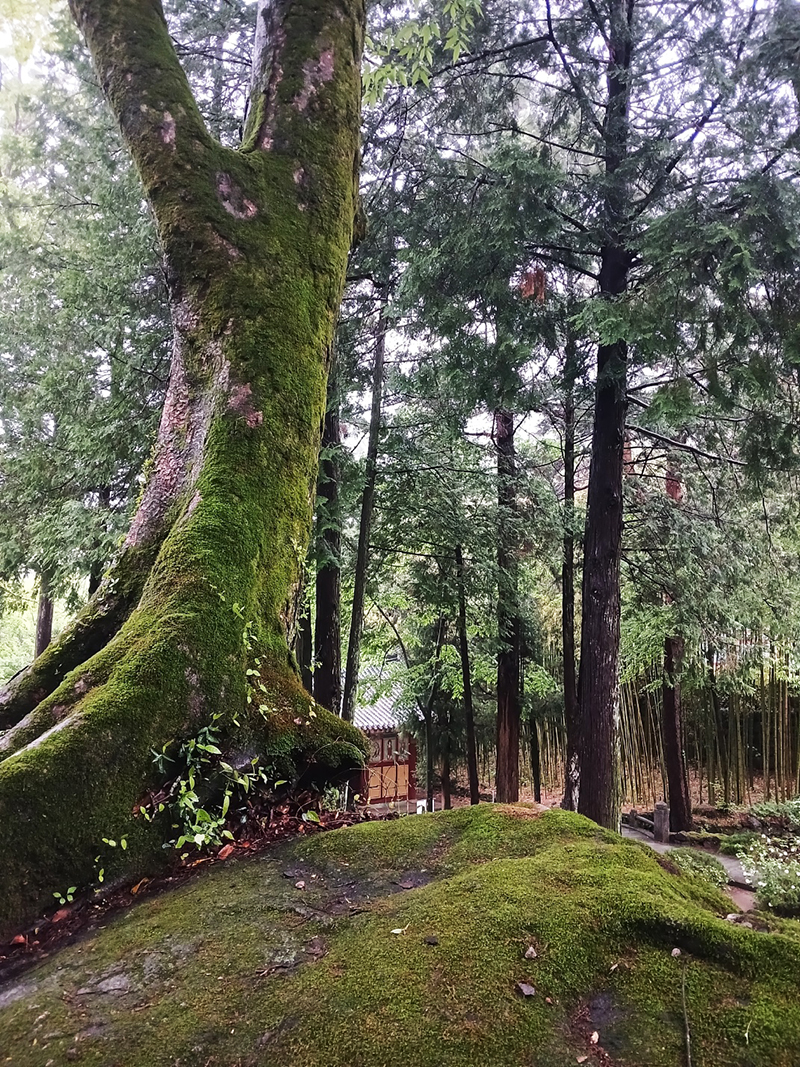 경남 쌍계사 템플스테이 신청 방법