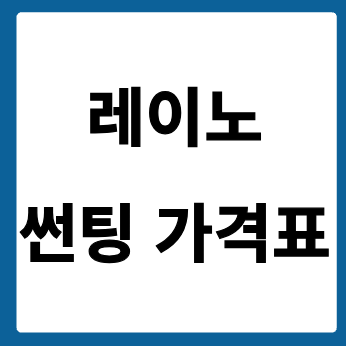 레이노 썬팅 가격표