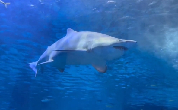 부산 아이와 놀러 갈만한 곳