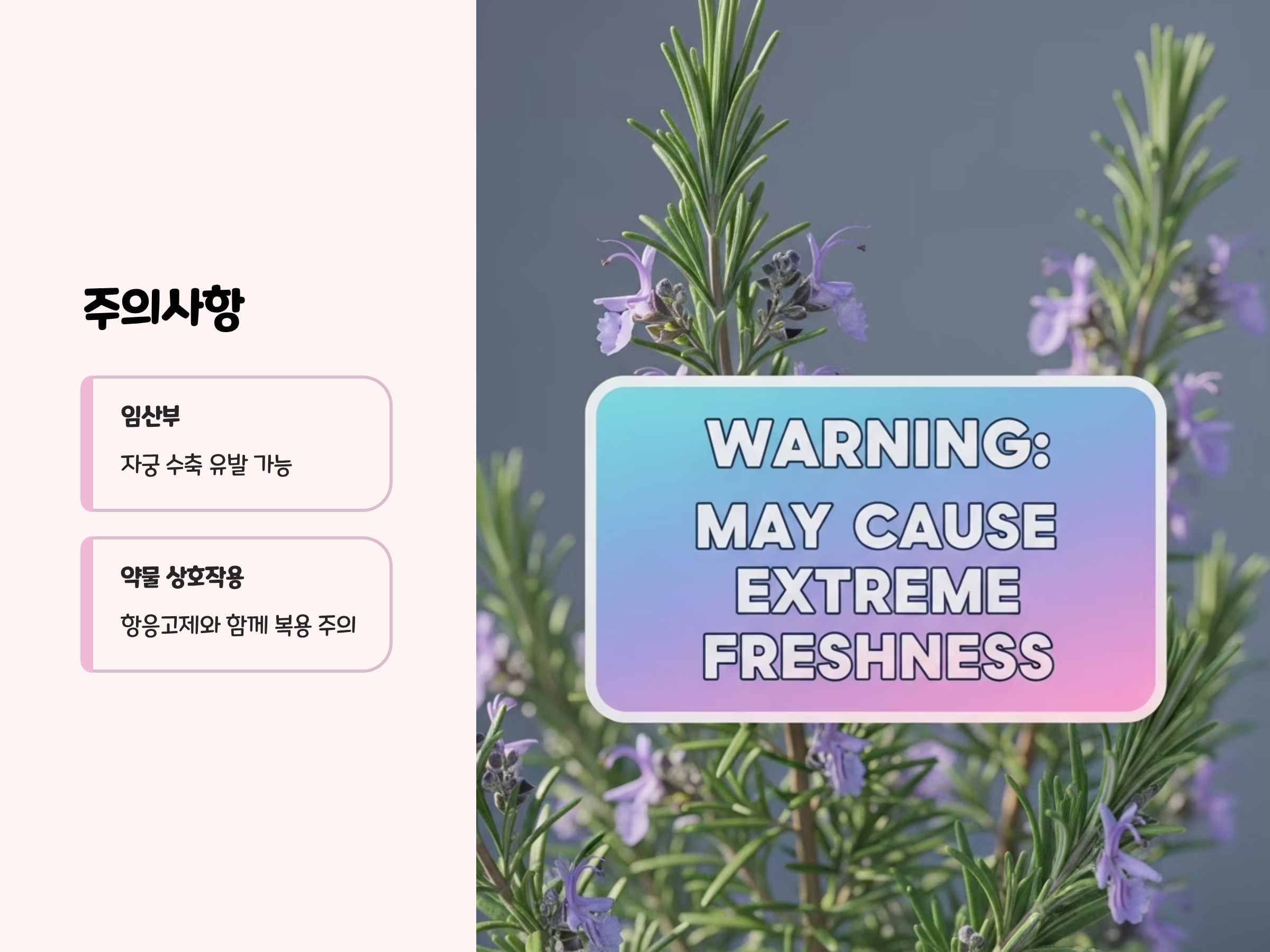 섭취 시 주의사항과 부작용
