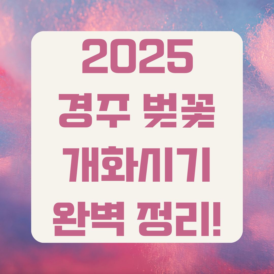 경주 벚꽃 개화시기