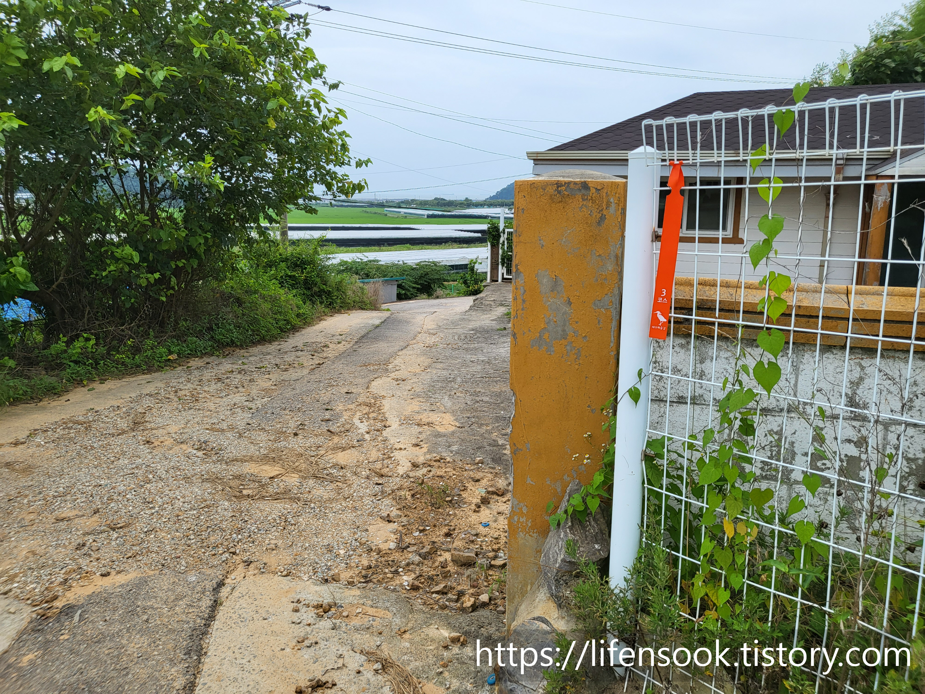 대부해솔길 3코스 주황리본 8