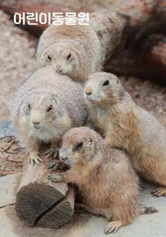 순천만 국가정원