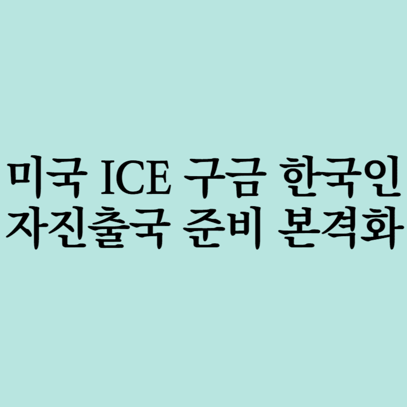 미ICE구금