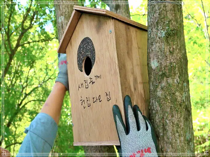 나는 자연인이다 50가지 발효액, 사과나무, 도토리묵, 표고버섯 부침개, 훈제 삼겹살 내가 만든 타임머신 자연인 방준영 소개 및 윤택 출연 555회 다시보기