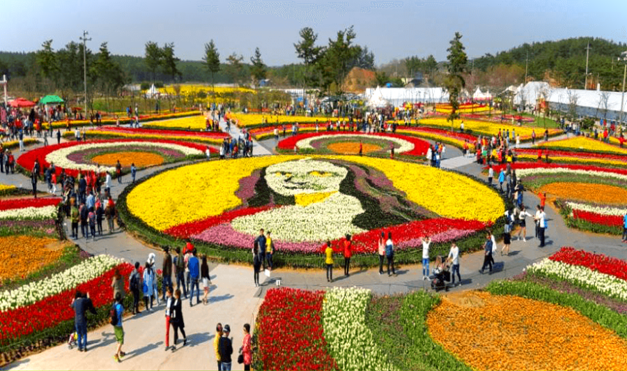 태안 가을 꽃박람회 주요 볼거리