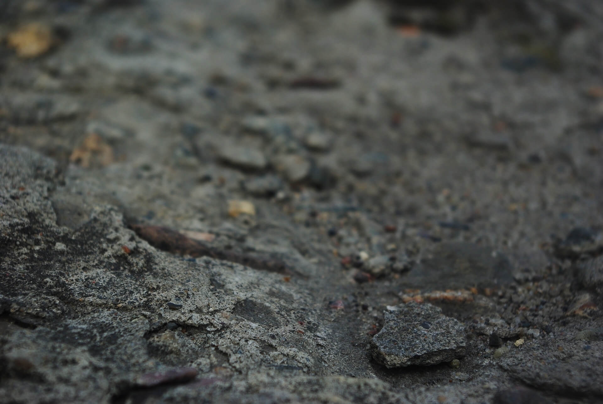 마른 흙과 젖은 흙의 회복 속도 차이:초소형 생태계 복원 프로젝트 21일 비교 기록