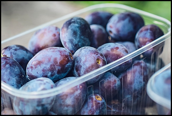 골다공증에 좋은 음식 BEST 8 골다공증에 좋은 음식 BEST 8