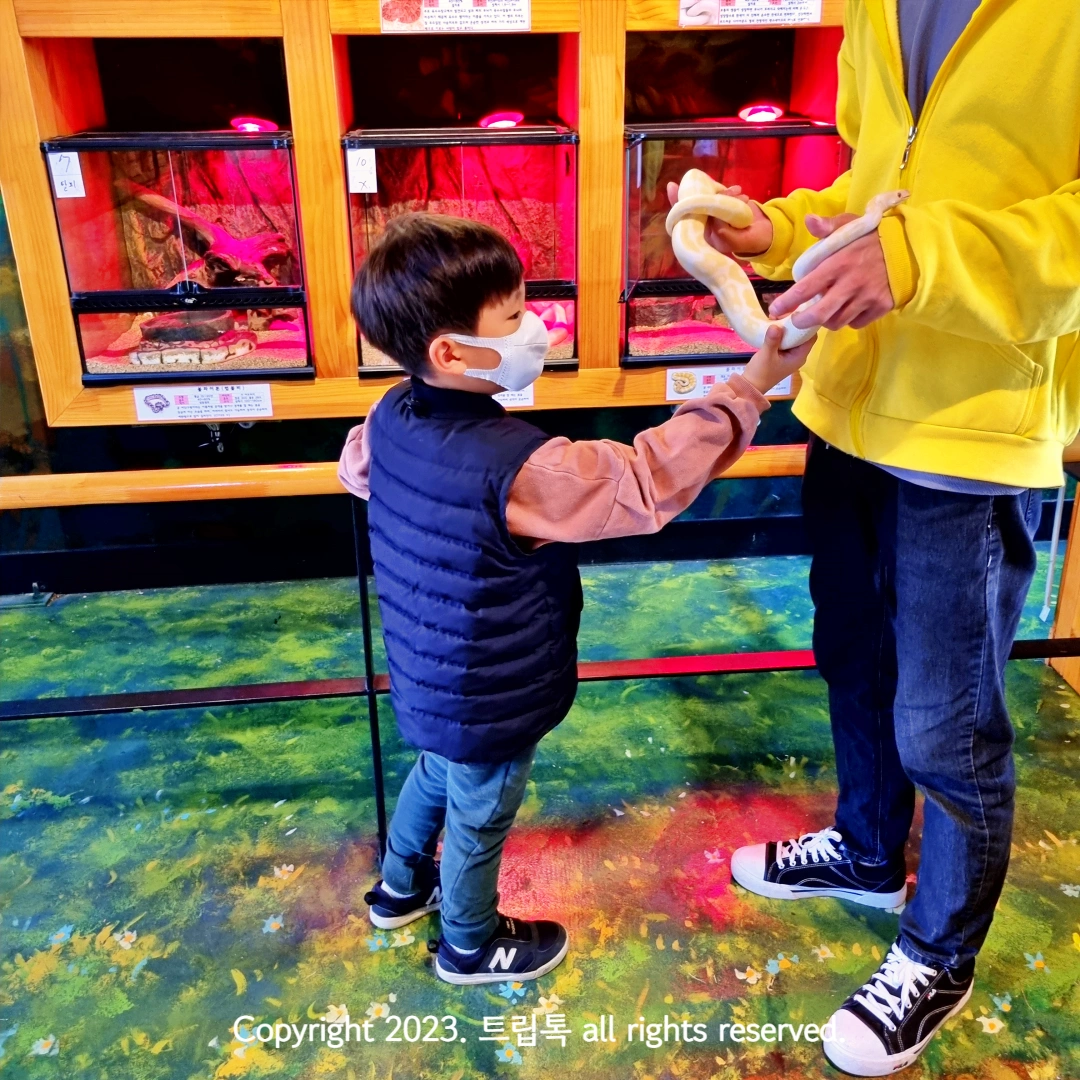 노란색 뱀을 만지고 있는 아이