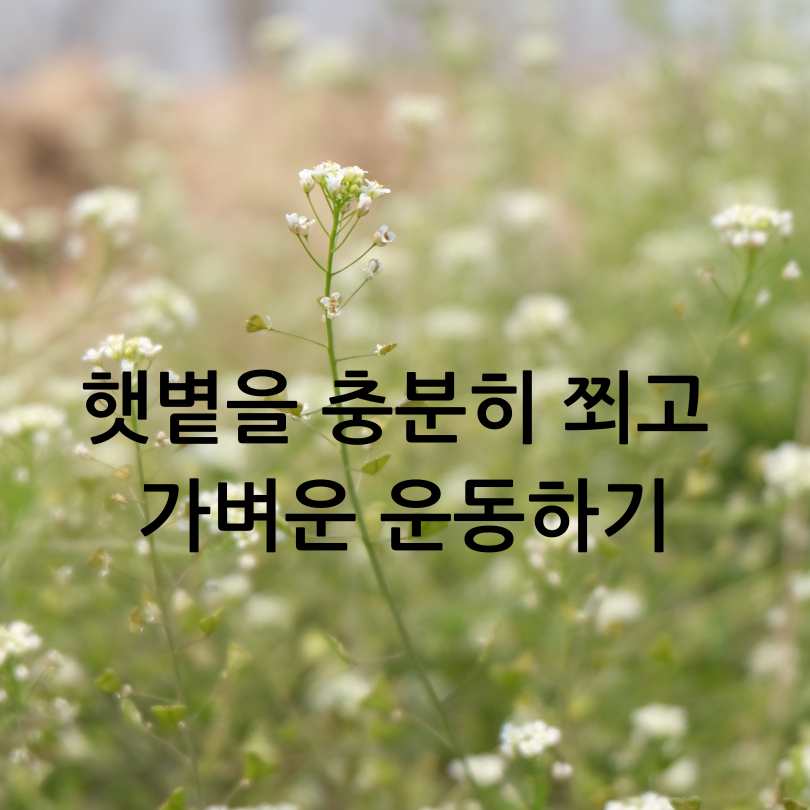 춘곤증 원인, 증상, 해결방법