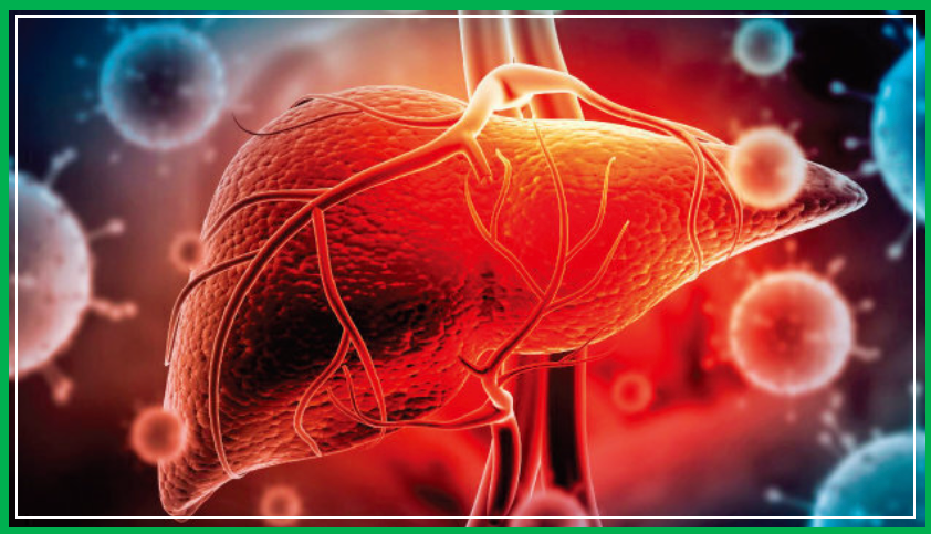 침묵의 장기 간 건강관리