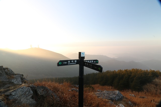 무료 폰트 다운로드 및 설치 방법