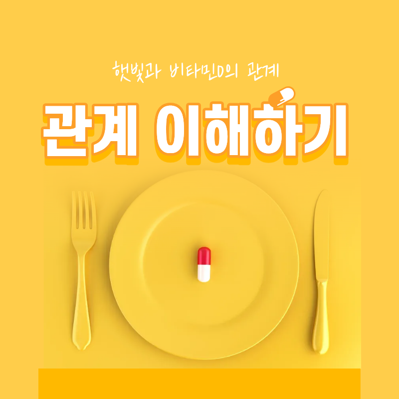 햇빛과 비타민D의 관계를 제대로 이해하기
