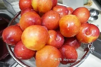 자두 보관법 수확시기 효능 자두청 만들기_23