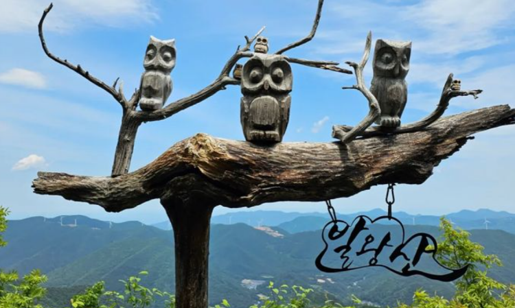 발왕산 케이블카