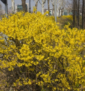 도심속휴식공원