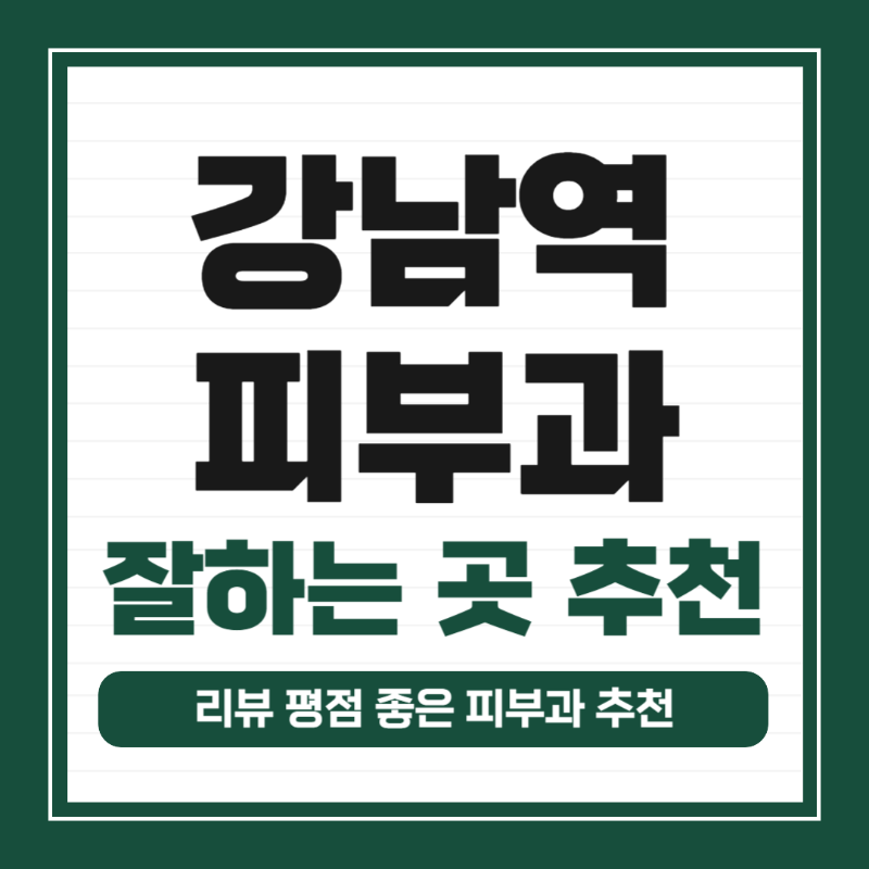 강남역 피부과 유명한 곳 전문의 병원 추천 모공 레이저 잘하는 곳 TOP 5