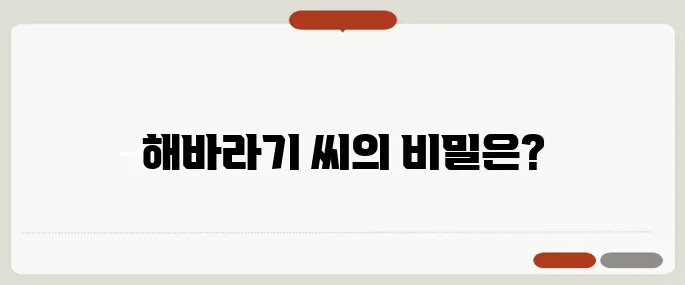 해바라기 씨 영양소 알아보기 건강 간식으로 뜨는 이유