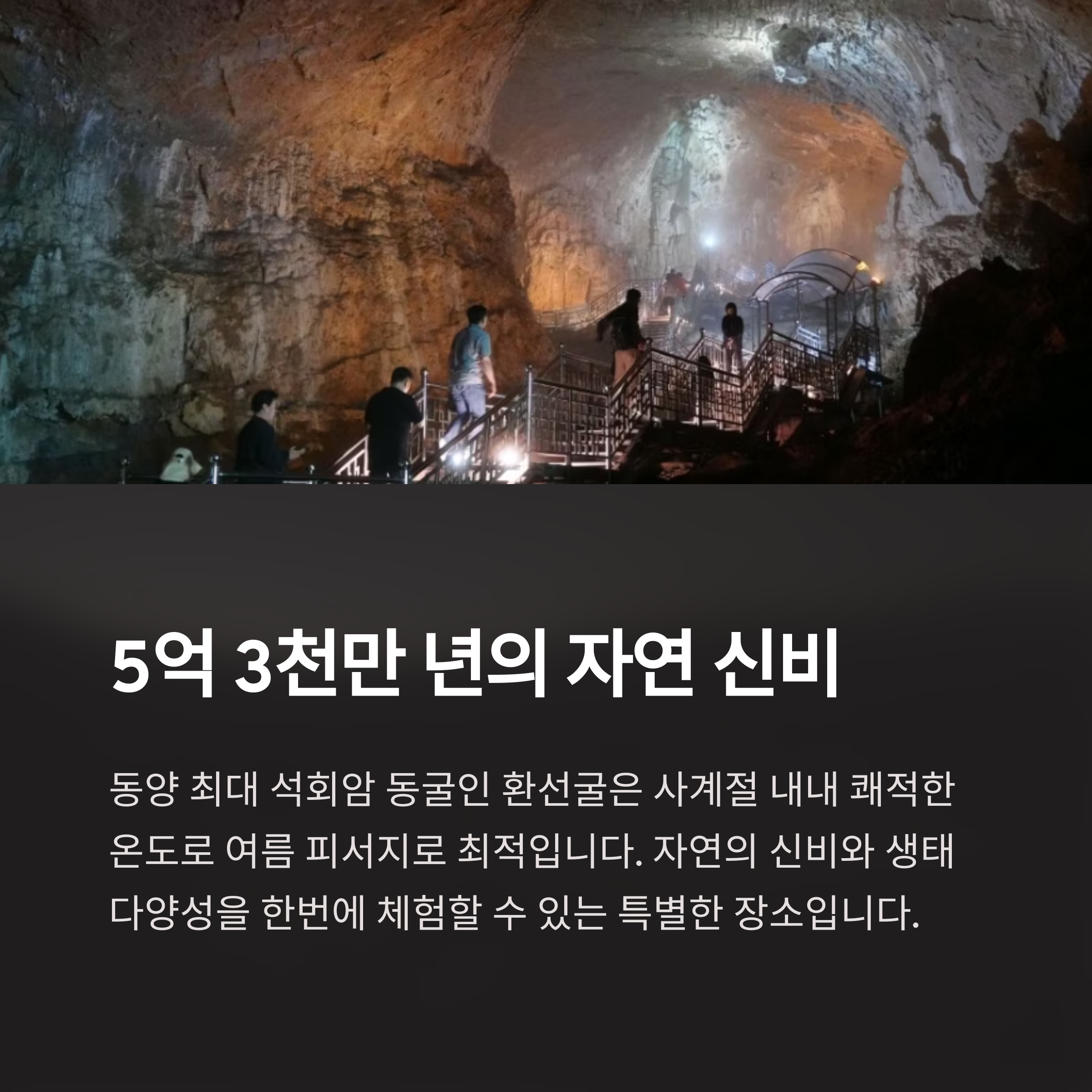 5억 3천만 년의 자연 신비