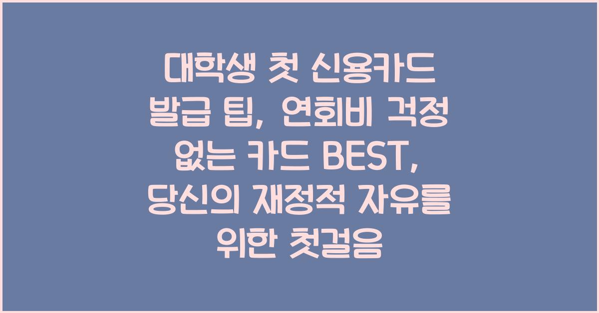대학생 첫 신용카드 발급 팁, 연회비 걱정 없는 카드 BEST