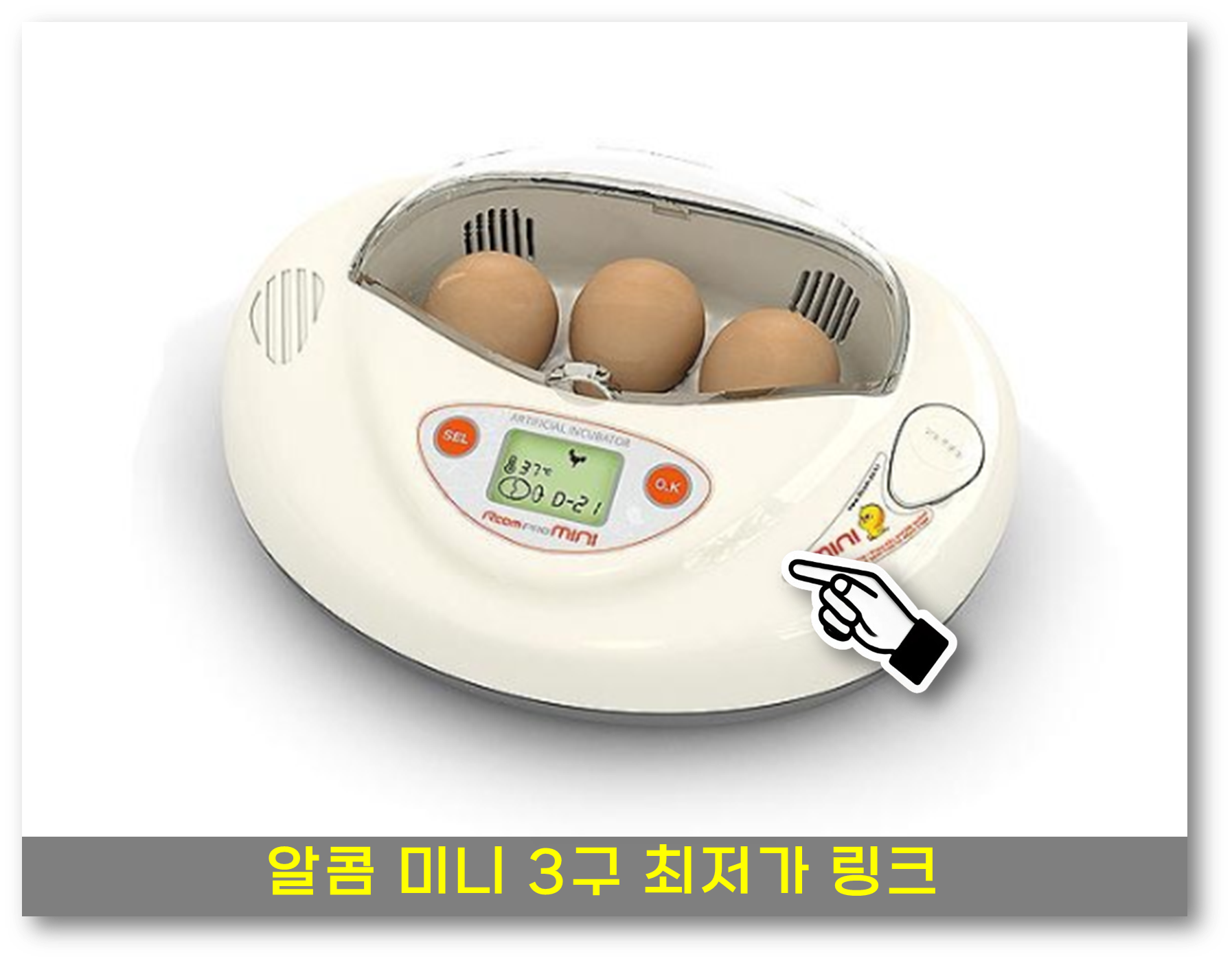 병아리 부화기 2