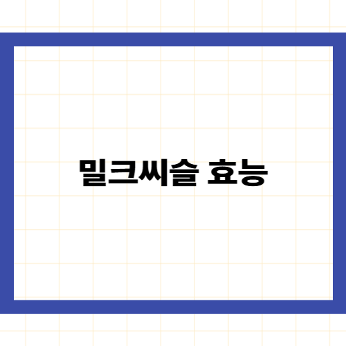 밀크씨슬 효능 &mdash;지친 간을 위한 실리마린의 5가지 선물과 올바른 섭취법