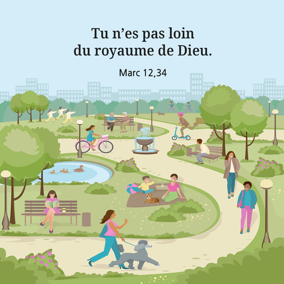 Tu n’es pas loin du royaume de Dieu. (Marc 12,34)