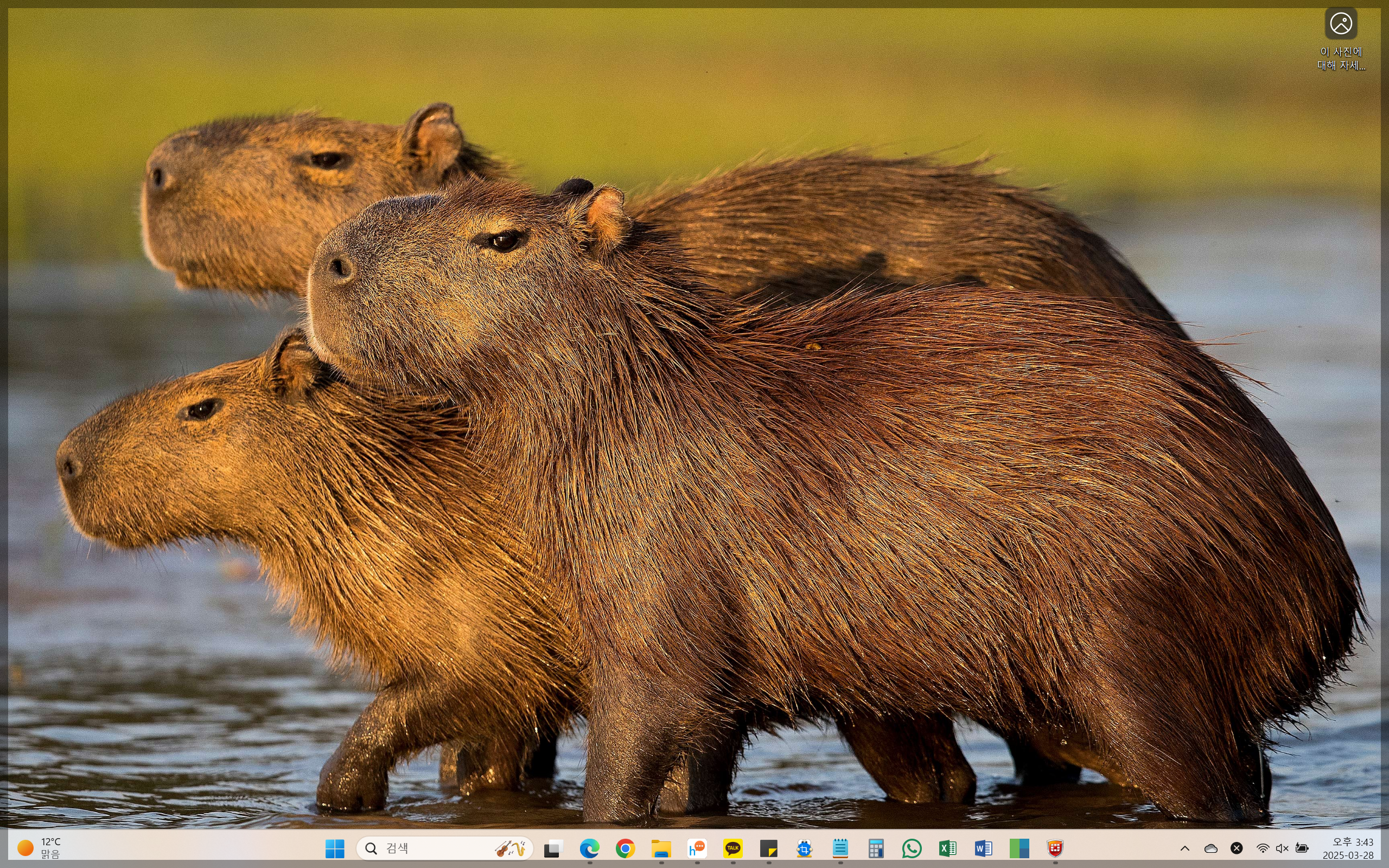 윈도우 문자너비 반자 고정(키보드 입력 이상할때, 문자 너비 넓은 증상)