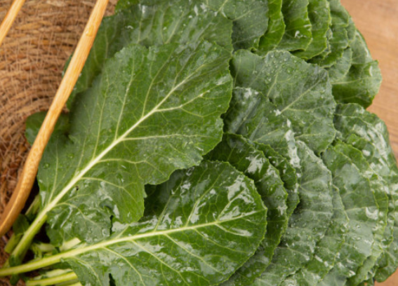 주요 비타민의 종류와 각각의 효능(역할)과 부족시 현상 그리고 부작용