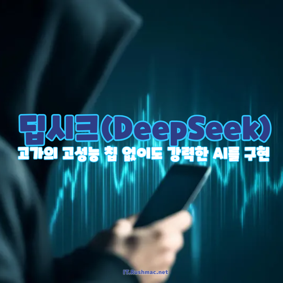 딥시크(DeepSeek)란