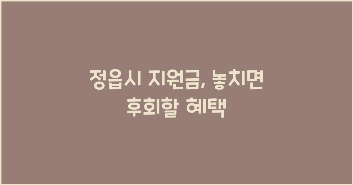 정읍시 지원금