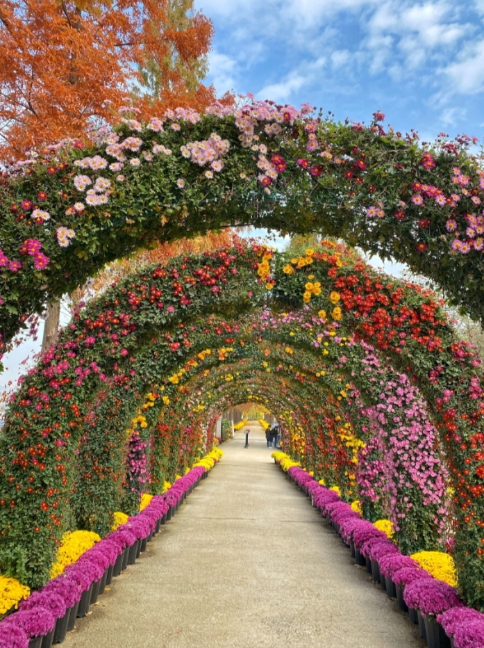 μμ° νΌλν΄λλ