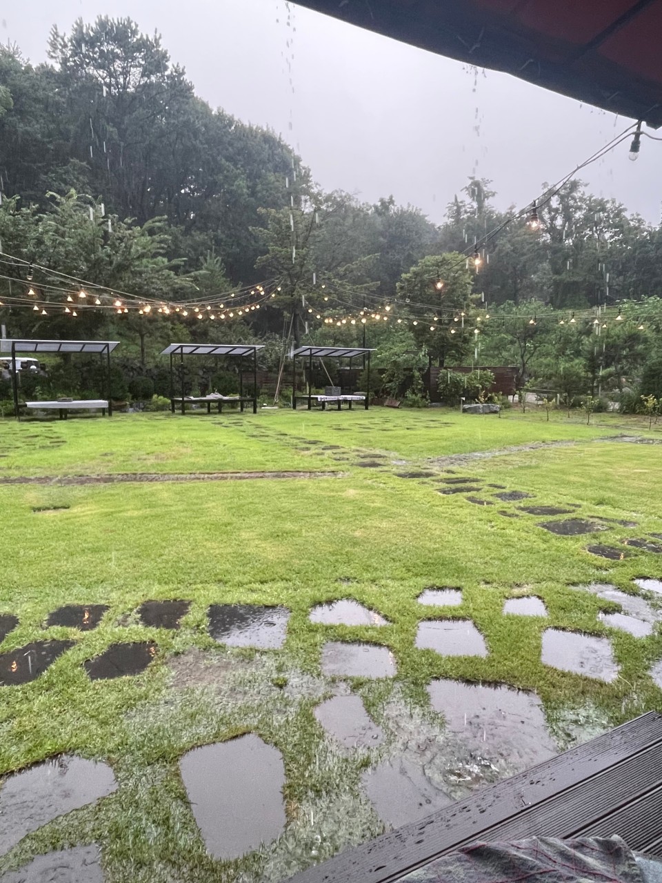 포레스트 피크닉 카페 잔디밭 사진
