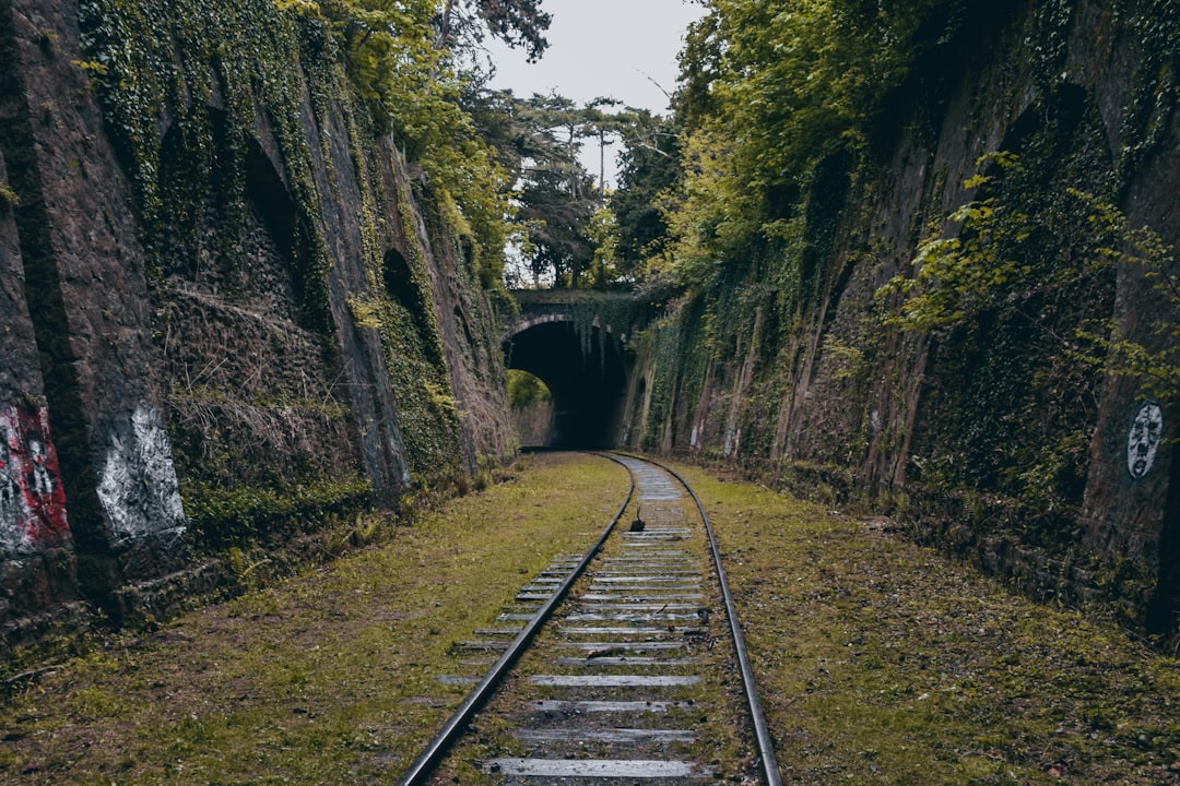 exploration