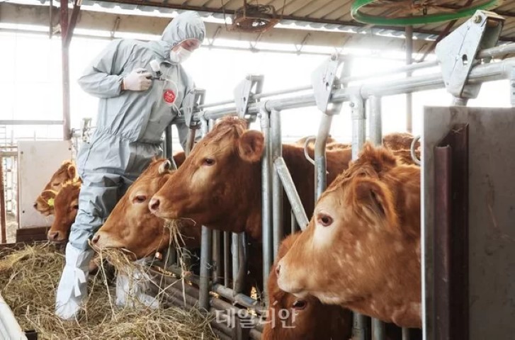 럼피스킨병 관련주